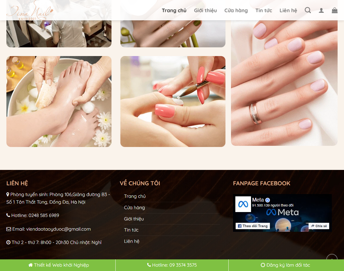 Tính năng theme WordPress nail