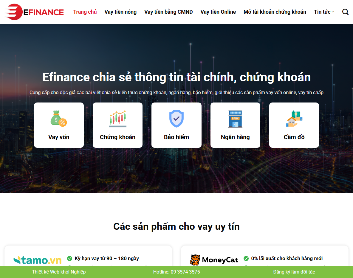 Giao diện Theme WordPress dịch vụ tài chính 01