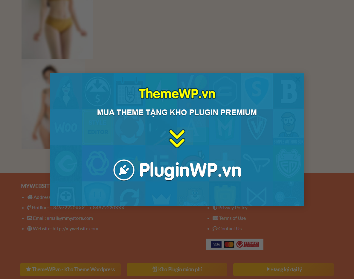 Theme WordPress Landing Page bán hàng nội y - Tính năng quản lý