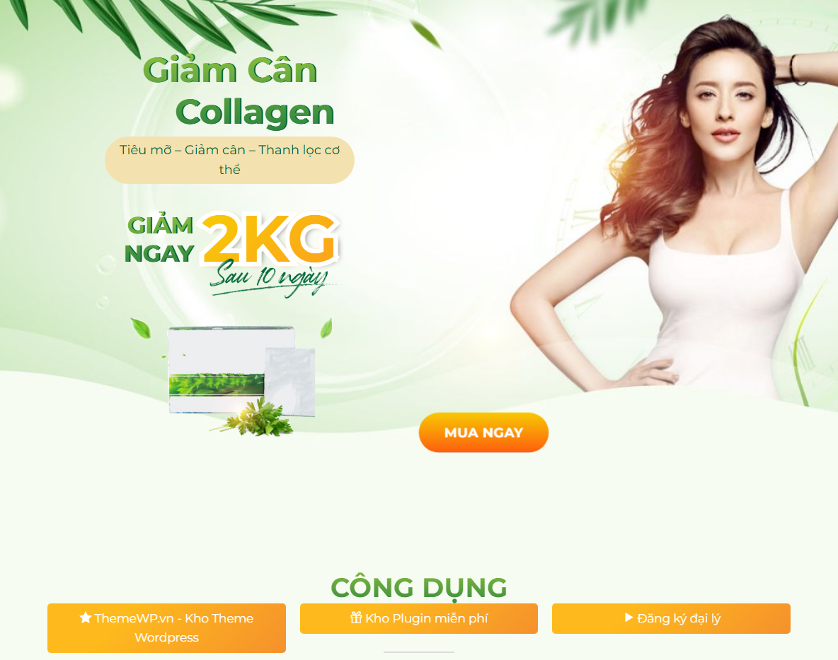 Theme WordPress Landing Page Bột Giảm Cân