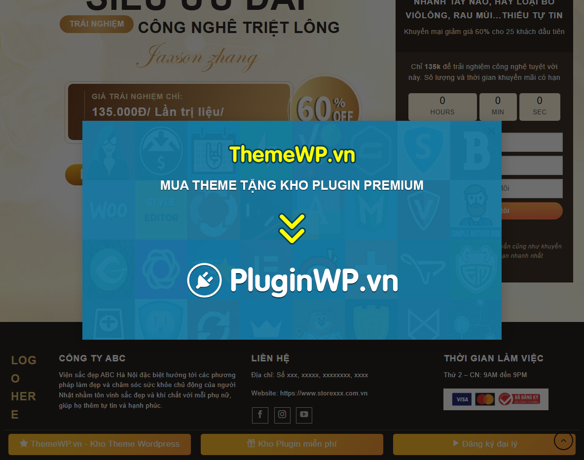 Tính năng Theme WordPress Triệt Lông