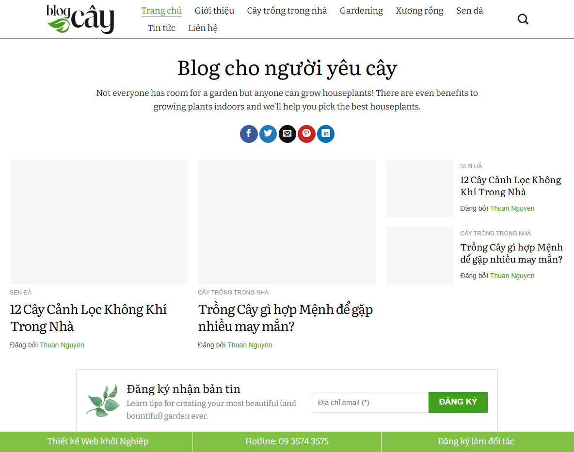 Giao diện Theme WordPress tin tức 18
